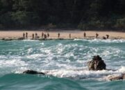 North Sentinel Island, Pulau Suku Primitif di India yang Nekat Tombak Pendatang Asing