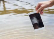 Ponsel Kamu Terendam Air, Lakukan Hal Ini!