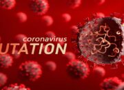 Sudah Menyebar di Puluhan Negara, Pemerintah Waspadai Penyebaran Varian Mu COVID-19 di Indonesia