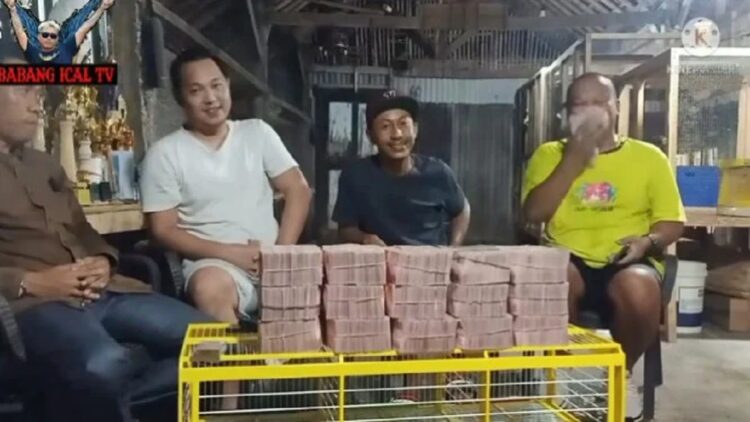 Viral burung merpati dijual seharga Rp1,5 miliar (YouTube/Babang Ical TV)