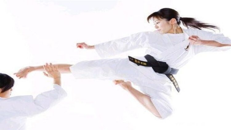 Ilustrasi gerakan dalam Olahraga Bela Diri Kempo. (Foto:Beutynesia)