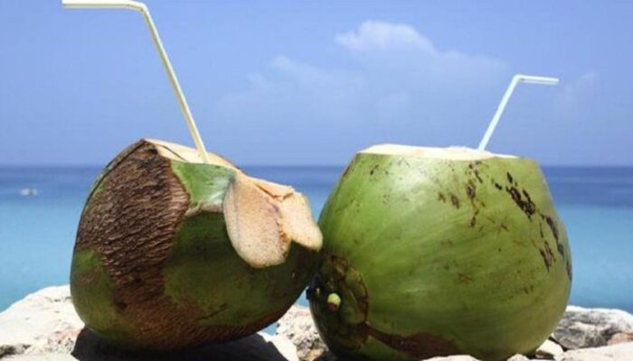 Air Kelapa, Minuman Alami yang Kaya Manfaat dan Sehat