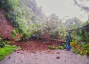 Jalan Tertimbun Longsor, Akses Penghubung Kabupaten di Nagari Malampah Pasaman Terputus