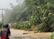 Hujan Intensitas Tinggi Guyur Sumbar, Lubuk Paraku Longsor Lagi