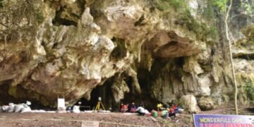 Arkeolog Mulai Teliti Temuan Fosil Kerangka Manusia Purba Berusia 7.200 Tahun di Sulawesi