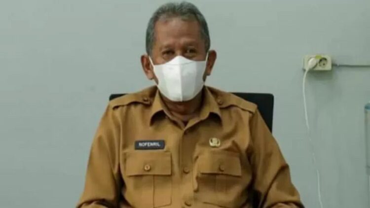 Kepala Dinas PMDPPKB Tanah Datar Novenril.