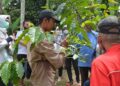 Meraih Berkah dari Potensi Kopi Bancah 7 Meraih Berkah dari Potensi Kopi Bancah