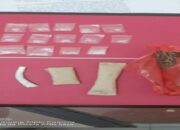 Pria Paruh Baya yang Viral Usai Peragakan Hisap Sabu Pakai Bong, Ditangkap Polsek Luki di Tarantang