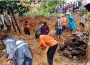 Empat Korban Tewas Tertimbun Longsor di Padangpariaman, Evakuasi Terkendala Peralatan