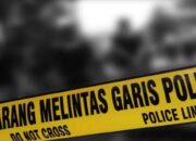 Diduga Terlibat Bantu KKB Papua, Kepala Distrik Wusama Yahukimo Diciduk Polisi  
