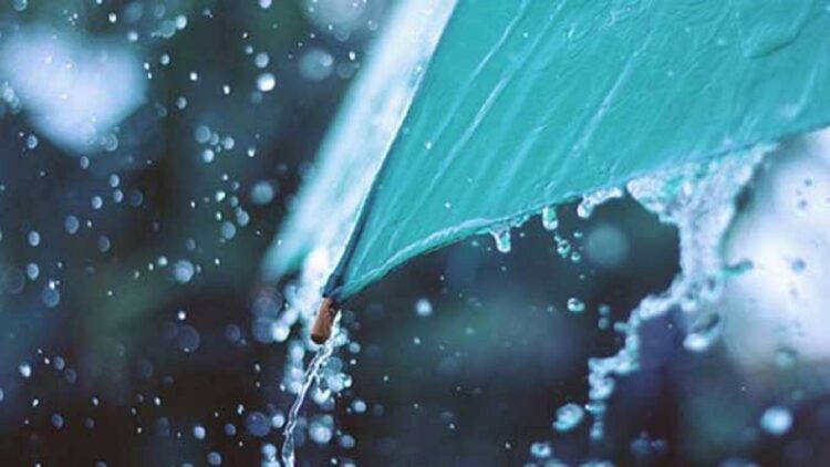 BMKG prediksi sejumlah kota besar di Indonesia diguyur hujan. (net)