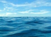 Sekitar 95 Persen Permukaan Laut Terancam Memburuk, Ini Kata Ilmuwan