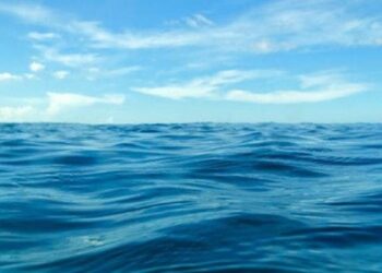 Sekitar 95 Persen Permukaan Laut Terancam Memburuk, Ini Kata Ilmuwan