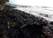 Pakar Lingkungan Minta Instansi Terkait Telusuri Sumber Pencemaran Limbah Hitam di Teluk Lampung