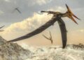 Ilmuwan Temukan Fosil Pterosaurus di Gurun Atacama, Cile