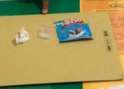 Simpan Sabu dalam Bungkus Kuaci, Induak-induak di Pessel Ini Diciduk Polisi