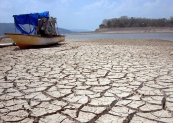ilustrasi kekeringan. (dok. istimewa)