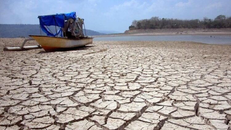 ilustrasi kekeringan. (dok. istimewa)