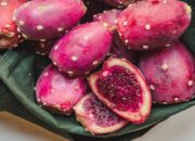 Ini Manfaat Ekstrak Buah Kaktus untuk Kesehatan