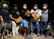 Hendak Bawa Ganja ke Padang, Tim Rajawali Patuk Dua Pengedar Ganja di Bukik Lampu