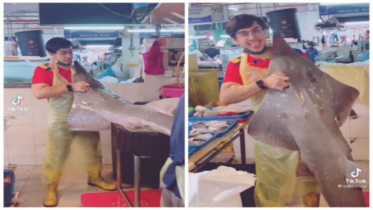 Pedagang ikan ini viral karena memiliki paras yang tampak. (Foto: TikTok/svaifulanwar)