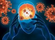 Jangan Abai dengan Meningitis, Bila Ada Gejala Ini Segera Periksa ke Dokter!