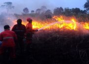 Tekan Titik Api Karhutla di Riau, Menhut Tambah Heli dan Water Bombing