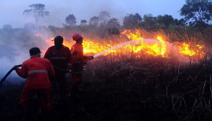 Tekan Titik Api Karhutla di Riau, Menhut Tambah Heli dan Water Bombing