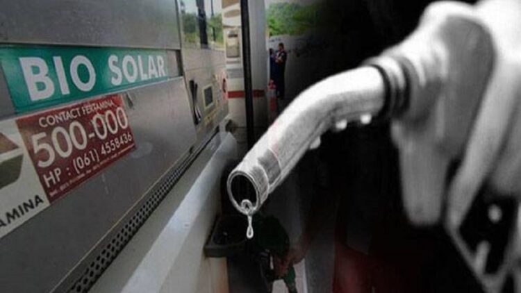 Ilustrasi bio solar. (net)