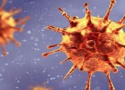 5 Atletnya Terpapar COVID-19, Tim Kesehatan Kontingen DKI Curigai Ada Varian Baru di Papua