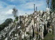 Keren! Ada Sembilan Warisan Geologi yang Diakui Kementerian ESDM di Pasbar