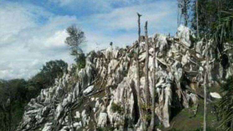 Bukik Karang Putih di Pasbar.