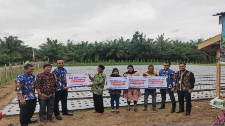 Penyaluran kredit Marandang ke anggota Kelompok Tani Pematang Lesung, Kamis (7/10). (ANTARA/HO-BN Tapan)