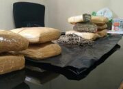 Ringkus Tiga Pengedar, Polres Bukittinggi Dapat 9,5 Kg Ganja dari Madina, Sumut