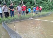 Potensi Bisnisnya Sangat Bagus, Investor Mulai Lirik Budidaya Ikan Koi di Limapuluh Kota