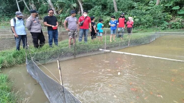 Pemilik tempat budi daya ikan koi Supriyadi Dahlan bersama dengan investor Reo saat menunjukkan lokasi budi daya ikan miliknya. (Antara/Akmal Saputra)