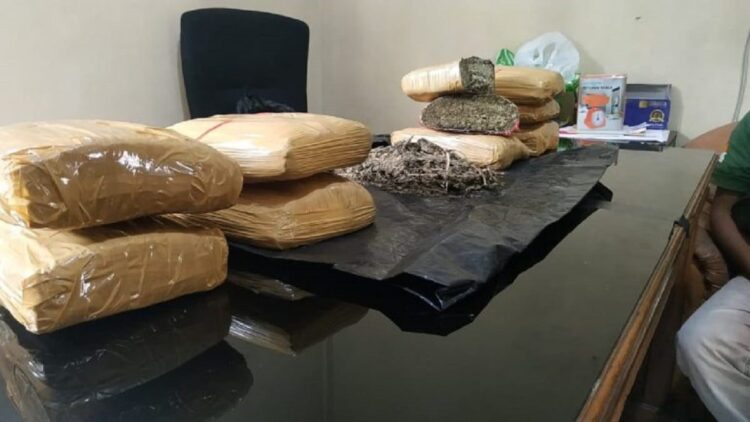 Ganja 9 Kilogram diamankan Satresnarkoba Polres Bukittinggi.