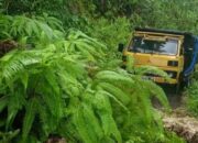 Longsor Timbun Ruas Jalan Hubungkan Dua Kecamatan di Agam, Kendaraan tak Bisa Lewat