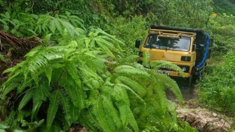 Kendaraan terjebak tanah longsor di Dusun I Lubuk Jua, Jorong Batu Hampar, Nagari Manggopoh, Kecamatan Lubukbasung, Jumat (5/11). (Antarasumbar/Dok BPBD Agam)