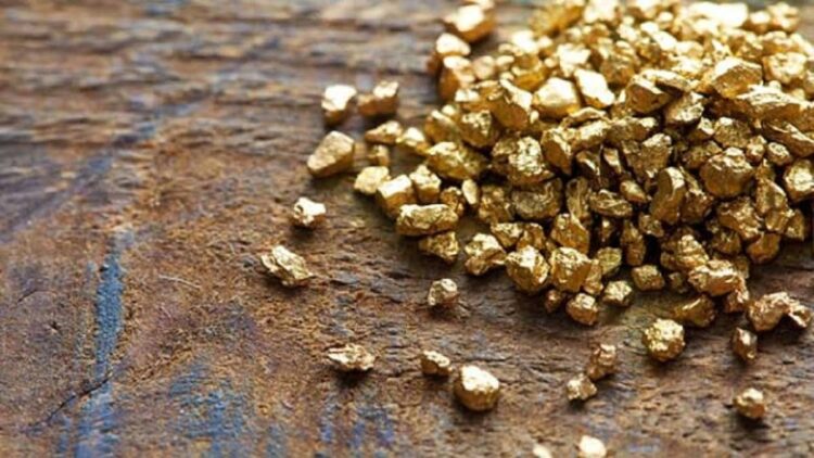 Tumbuhan Hiperakumulator Bisa Menambang Nikel, Perak, dan Emas, Apa Itu? 1 Ilustrasi emas hasil penambangan. (net)