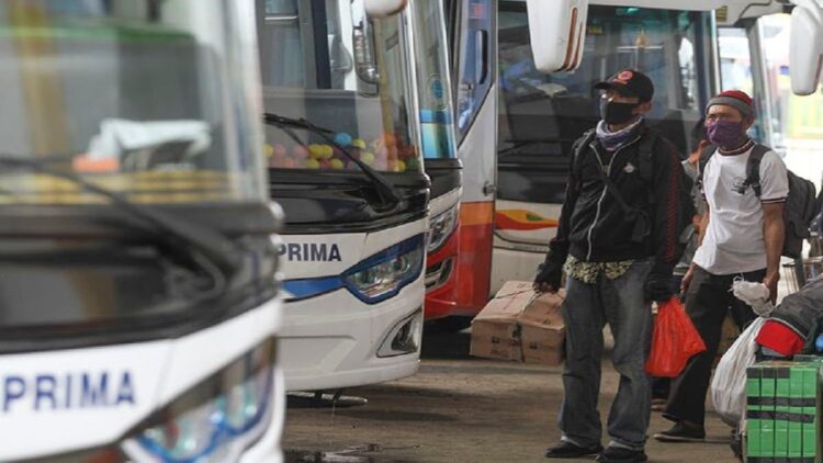 Ilustrasi angkutan darat. (net)