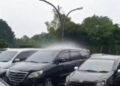 Banyak Mobil di Area Parkiran, Tapi Cuma Satu Mobil Saja yang Kena Guyur Hujan 3 Banyak Mobil di Area Parkiran, Tapi Cuma Satu Mobil Saja yang Kena Guyur Hujan