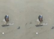 Hindari Amukan Massa, Maling Motor Terjun ke Sungai