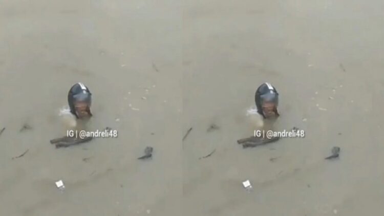 Maling motor kecebur ke sungai. (Sumber : Instagram/andreli48)