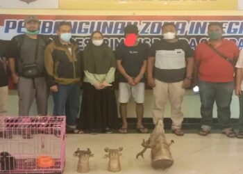 Gagalkan Penjualan Satwa Dilindungi di Padangpariaman, BKSDA Sumbar Tangkap Pelaku Warga Padang