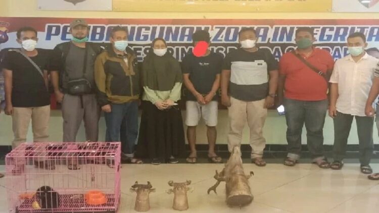 Tim BKSDA Sumbar usai mengamankan pelaku kasus penjualan satwa dilindungi, pada Rabu (31/10) malam. (ANTARA/HO-Dokumen BKSDA Sumbar)