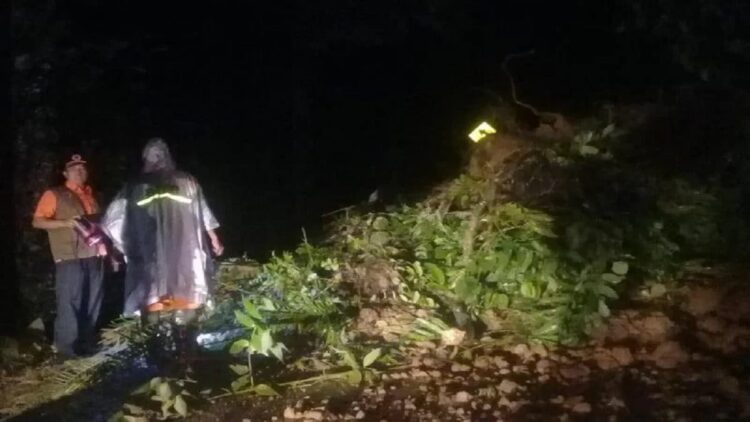 Longsor Landa Agam, Akses dari Silareh Aia Menuju Kecamatan Matur Terganggu 1 Kondisi jalan yang tertimbun longsor di Jorong Koto Alam, Nagari Salareh Aia, Kecamatan Palembayan, Selasa (2/11). (Antara/Dok BPBD Agam)