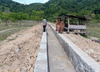 Untuk Pengembangan Irigasi, Pemkab Pessel Alokasikan Rp15 Miliar Tahun 2022