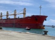 Semen Padang Ekspor Klinker 1,2 MT dan Semen 451.614 MT Sejak Januari 2021