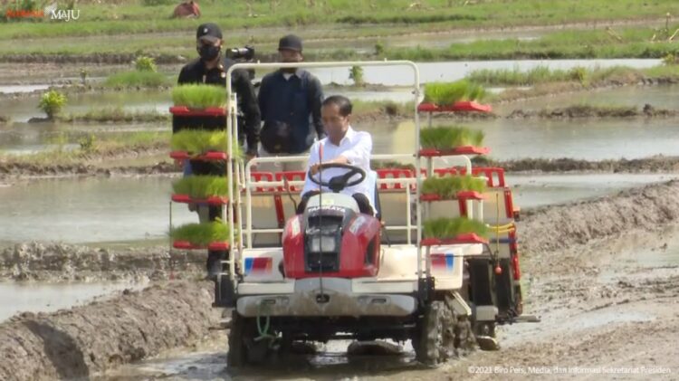 Presiden Jokowi mengendarai mesin tanam padi, di Trenggalek, Jatim, Selasa (30/11/2021) siang. (Sumber: Tangkapan Layar)